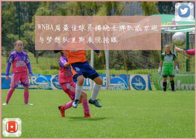 WNBA周最佳球员揭晓王牌队威尔逊与梦想队里斯表现抢眼